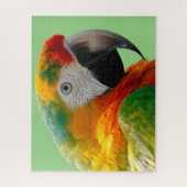 Ara Legpuzzel (Verticaal)