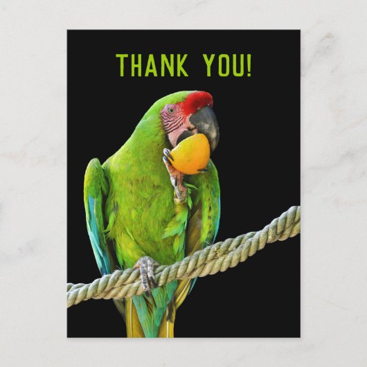 Ara Militaris Green Parrot Briefkaart (Voorkant)