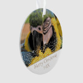 Ara Parrot Animal de compagnie Photo Star Christma (devant)