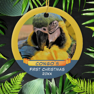 Ara Parrot Pet 1st Christmas Ribbon Foto Keramisch Keramisch Ornament