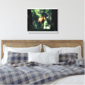 Arab Foal in de Trees Canvas Afdruk (Insitu (Slaapkamer))