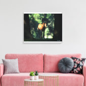 Arab Foal in de Trees Canvas Afdruk (Insitu (Woonkamer))