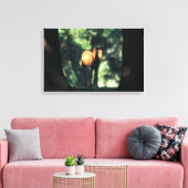 Arab Foal in de Trees Canvas Afdruk (Insitu (Woonkamer))