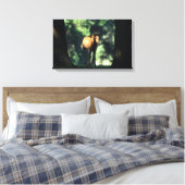 Arab Foal in de Trees Canvas Afdruk (Insitu (Slaapkamer))