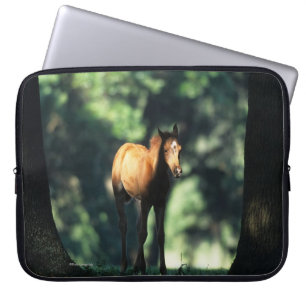 Arab Foal in de Trees Laptop Sleeve