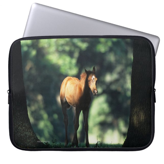 Arab Foal in de Trees Laptop Sleeve (Voorkant)
