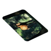 Arab Foal in de Trees Magneet (Rechterzijde)