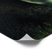 Arab Foal in de Trees Poster (Hoek)