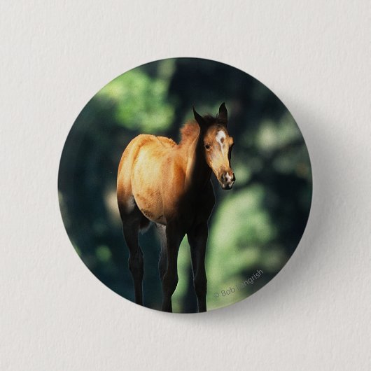 Arab Foal in de Trees Ronde Button 5,7 Cm (Voorkant)