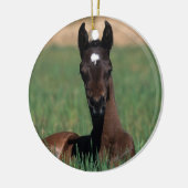 Arab Foal Laying Down Keramisch Ornament (Links)