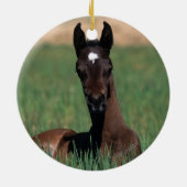 Arab Foal Laying Down Keramisch Ornament (Achterkant)
