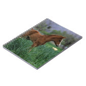 Arab Foal Standing Notitieboek (Linkerzijde)