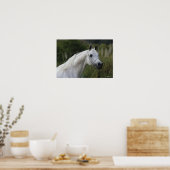 Arab Horse Headshot 1 Poster (Keuken)