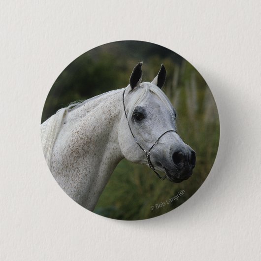 Arab Horse Headshot 1 Ronde Button 5,7 Cm (Voorkant)
