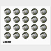 Arab Horse Headshot 1 Ronde Sticker (Vel)