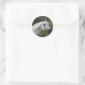 Arab Horse Headshot 1 Ronde Sticker (Tas)