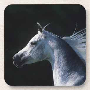 Arab Horse Headshot 2 Drankjes Onderzetter