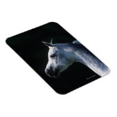 Arab Horse Headshot 2 Magneet (Rechterzijde)