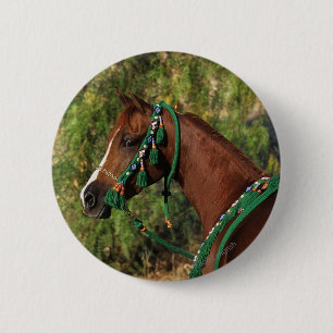 Arab Horse Headshot met bridle Ronde Button 5,7 Cm