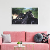 Arab Horse Scratching Canvas Afdruk (Insitu (Woonkamer))