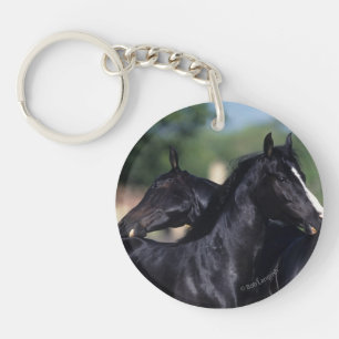 Arab Horse Scratching Sleutelhanger