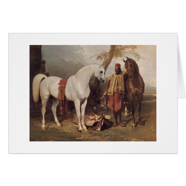 Arabe blanc (Devant horizontal)