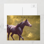 Arabe Stallion Stormy Sunset carte postale (Devant / Derrière)