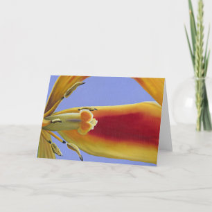 Arabesque de Tulipe - carte d'art