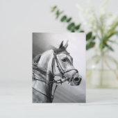 ARABIAN BEAUTY BRIEFKAART (Staand voorkant)