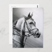 ARABIAN BEAUTY BRIEFKAART (Voorkant / Achterkant)