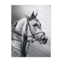 ARABIAN BEAUTY BRIEFKAART