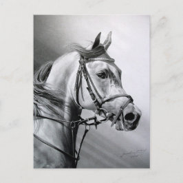 ARABIAN BEAUTY BRIEFKAART