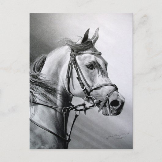 ARABIAN BEAUTY BRIEFKAART (Voorkant)