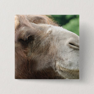 Arabian Camel Button