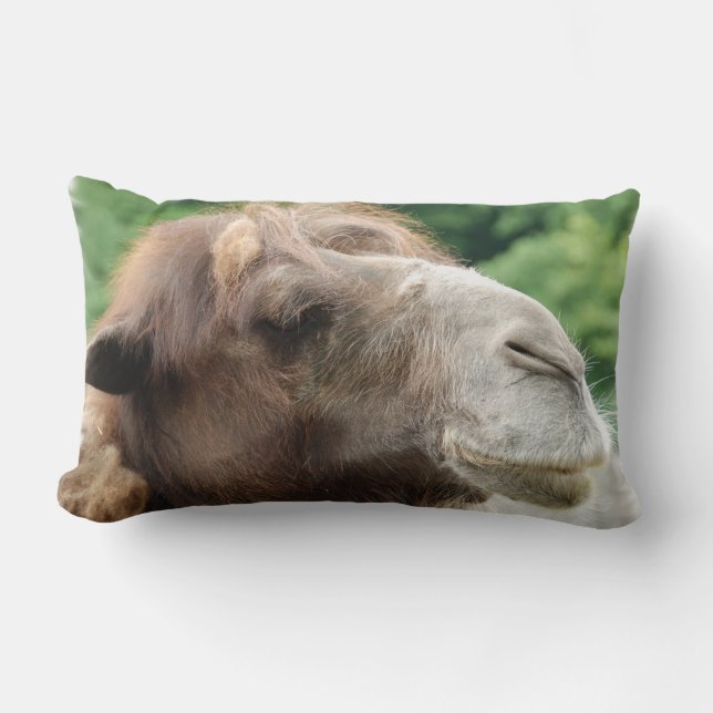 Arabian Camel Pillow Kussen (Voorkant)