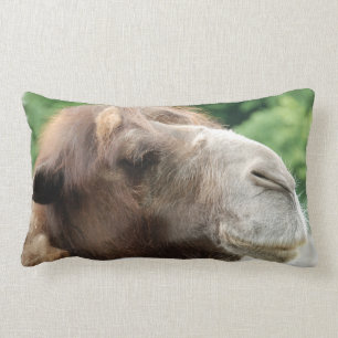 Arabian Camel Pillow Kussen
