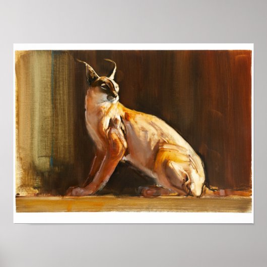 Arabian Caracal Poster (Voorkant)