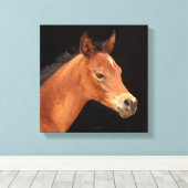 Arabian Filly Canvas Afdruk (Insitu (Houten vloer))