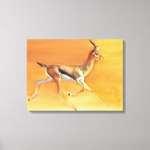 Arabian Gazelle 2010 Canvas Afdruk