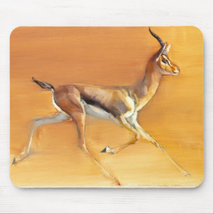 Arabian Gazelle 2010 Muismat