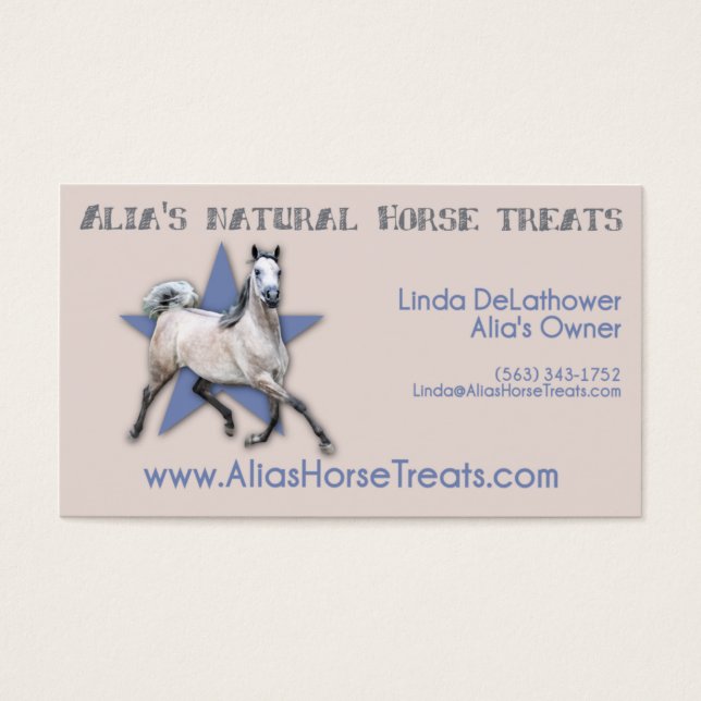 Arabian Horse - Alia's Natural Horse Traitements (Devant)