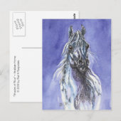 Arabian Horse Art Briefkaart (Voorkant / Achterkant)