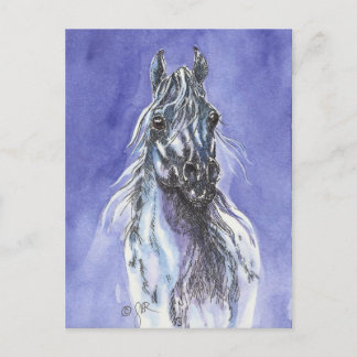 Arabian Horse Art Briefkaart