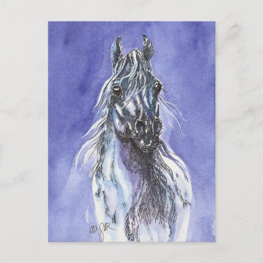 Arabian Horse Art Briefkaart (Voorkant)