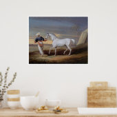 Arabian Horse Art Print Poster (Keuken)
