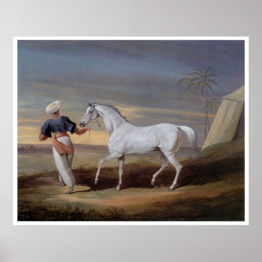 Arabian Horse Art Vintage Imprimer Poster (Devant)