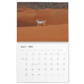 Arabian Horse Calendar 2019 Kalender (Mar 2026)