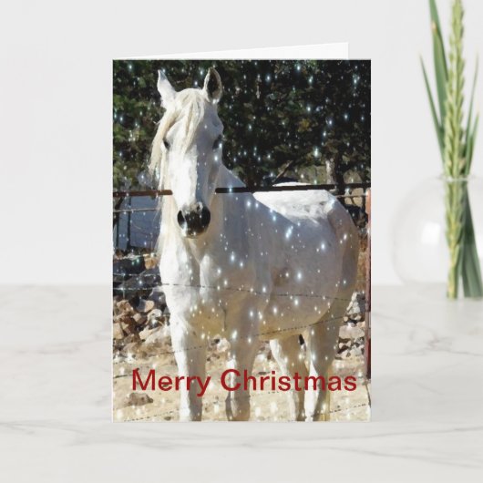 Arabian Horse Christmas Kaart (Voorkant)