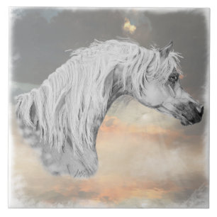 Arabian Horse Decorative Tegel Tegeltje