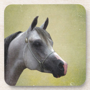 Arabian Horse Grunge Drankjes Onderzetter